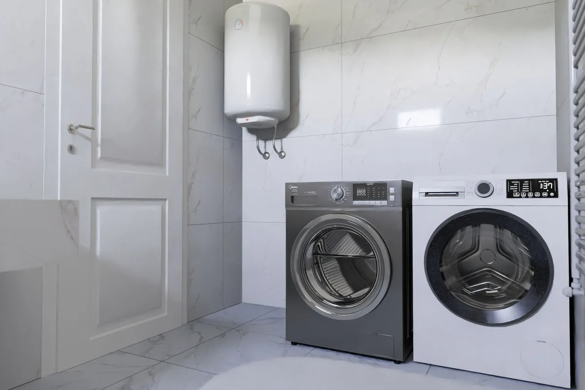 Bird & Bat Guano Cleanup in Cairo, GA